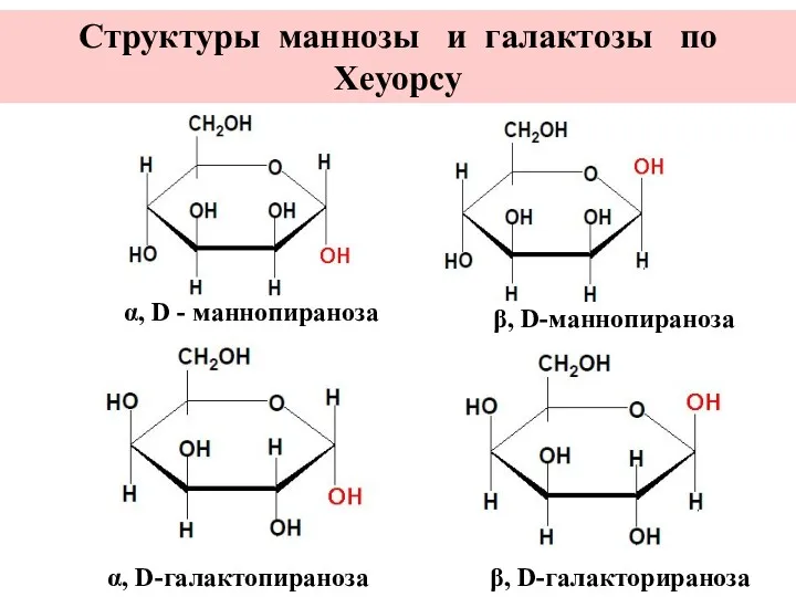 α, D - маннопираноза β, D-маннопираноза α, D-галактопираноза β, D-галакторираноза Структуры маннозы и галактозы по Хеуорсу