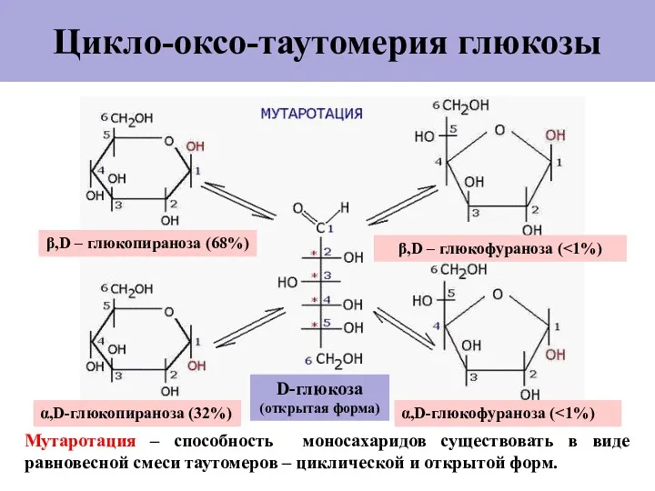 Цикло-оксо-таутомерия глюкозы Мутаротация – способность моносахаридов существовать в виде равновесной