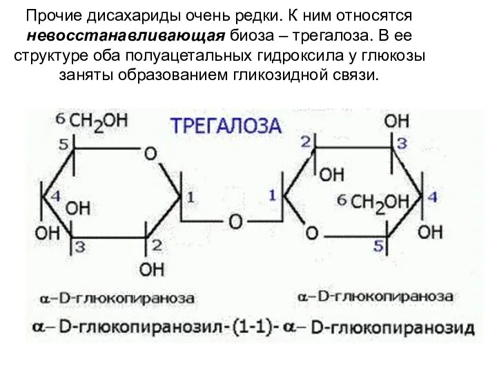 Прочие дисахариды очень редки. К ним относятся невосстанавливающая биоза –