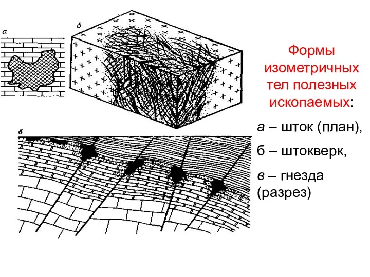 Формы изометричных тел полезных ископаемых: а – шток (план), б – штокверк, в – гнезда (разрез)