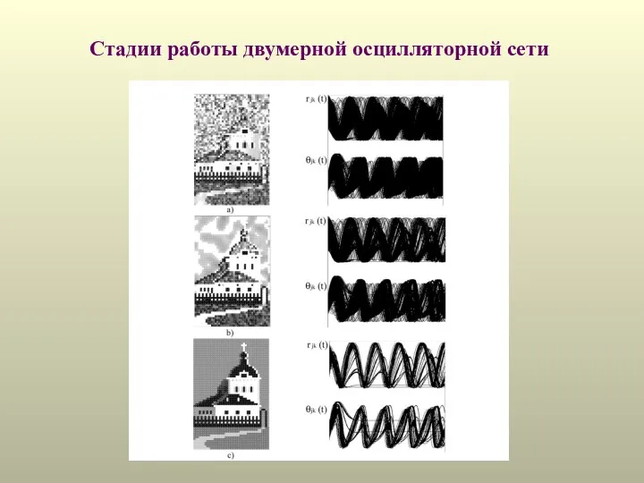 Стадии работы двумерной осцилляторной сети