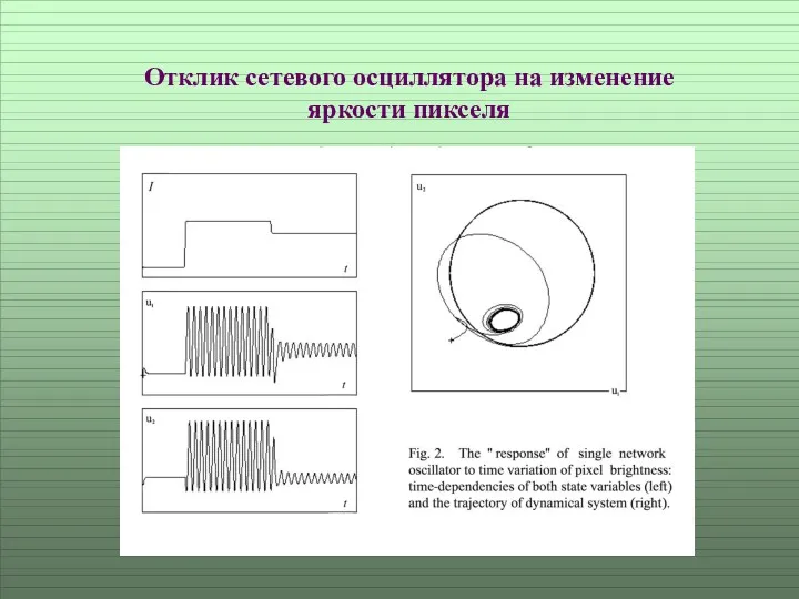 Отклик сетевого осциллятора на изменение яркости пикселя