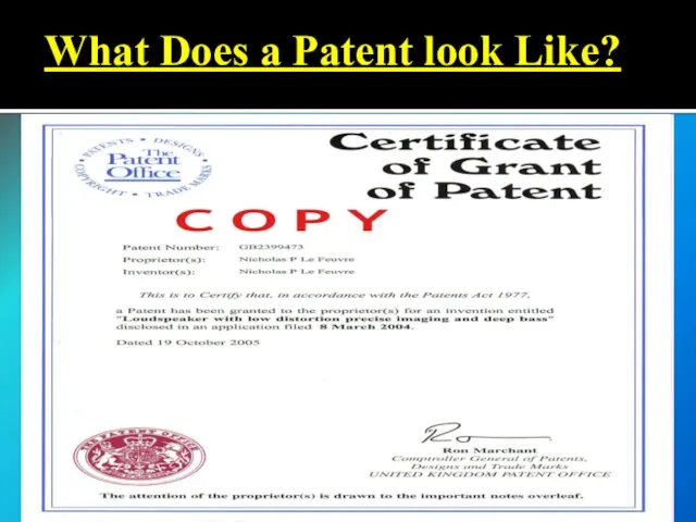 What Does a Patent look Like?