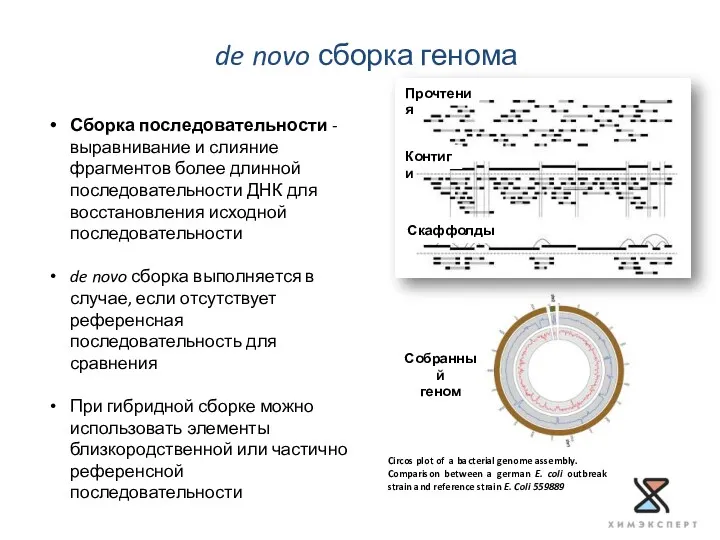 de novo сборка генома Circos plot of a bacterial genome