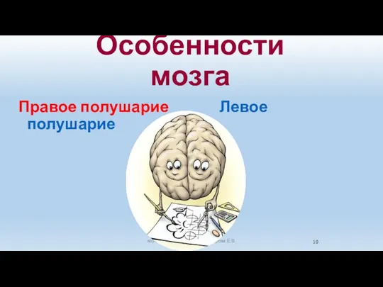 Особенности мозга коуч, бизнес-тренер, к.п.н Сусарова Е.В. Правое полушарие Левое полушарие