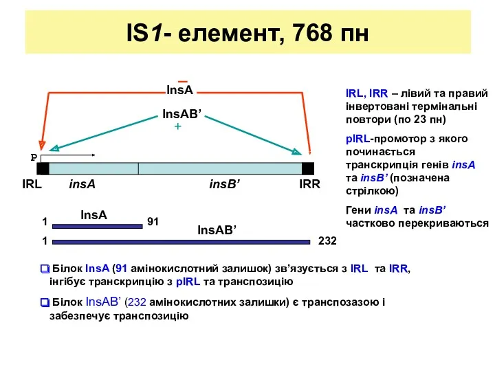 IS1- елемент, 768 пн P IRL, IRR – лівий та