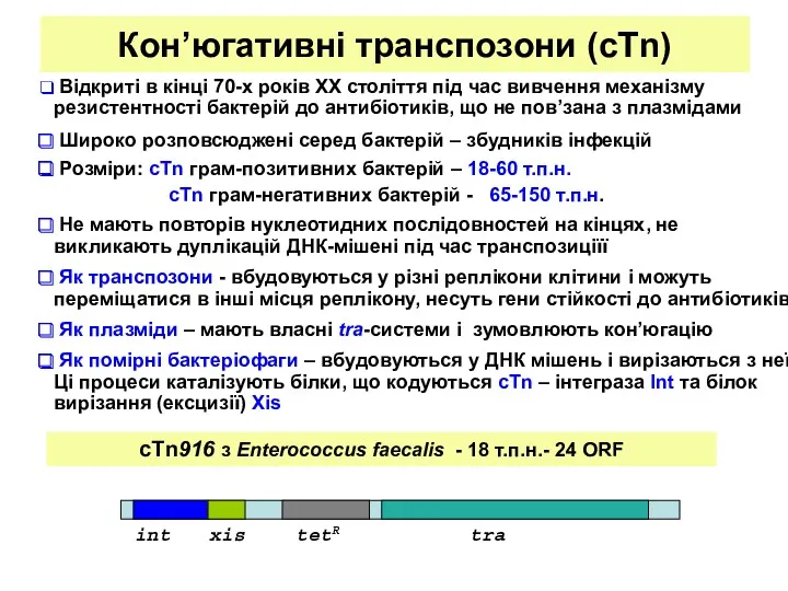 Кон’югативні транспозони (cTn) Відкриті в кінці 70-х років ХХ століття