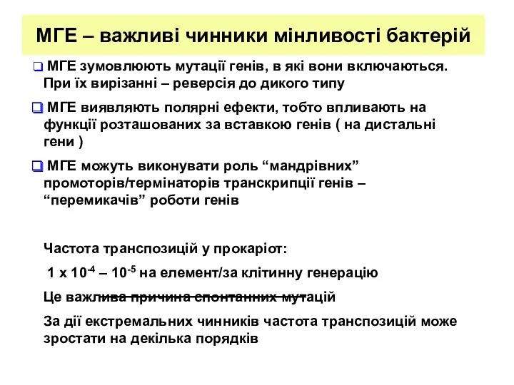 МГЕ – важливі чинники мінливості бактерій МГЕ зумовлюють мутації генів,