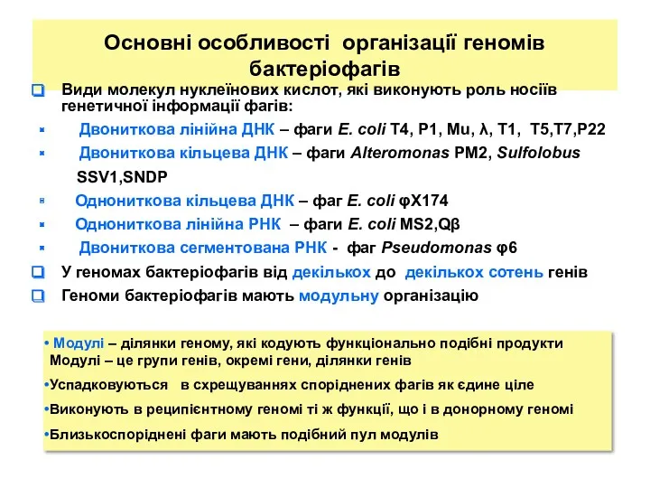 Основні особливості організації геномів бактеріофагів Види молекул нуклеїнових кислот, які