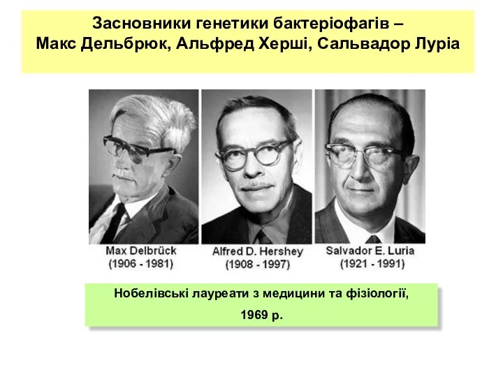 Засновники генетики бактеріофагів – Макс Дельбрюк, Альфред Херші, Сальвадор Луріа