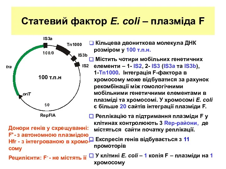 Статевий фактор Е. coli – плазміда F tra IS3a Кільцева