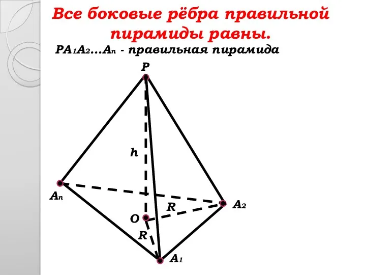 Все боковые рёбра правильной пирамиды равны. P A2 An A1