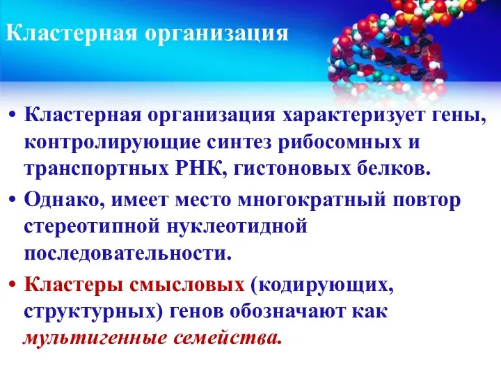 Кластерная организация Кластерная организация характеризует гены, контролирующие синтез рибосомных и