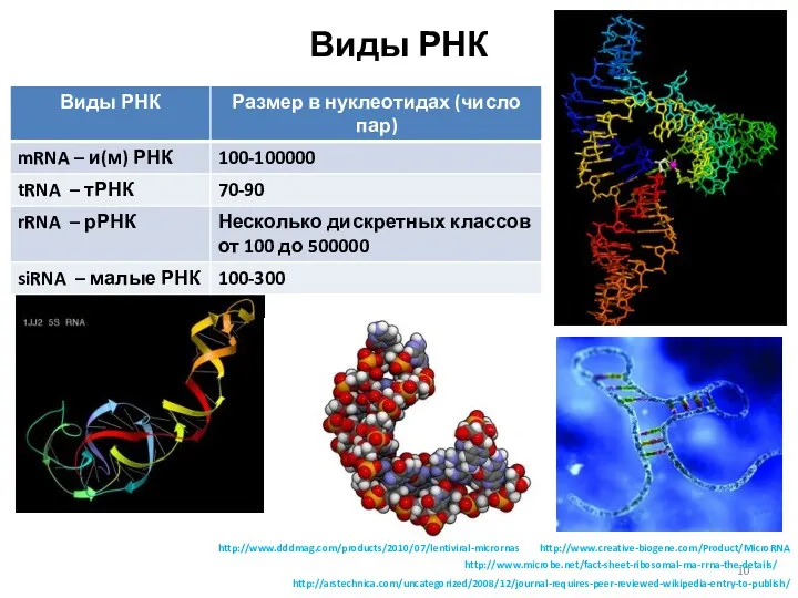Виды РНК http://arstechnica.com/uncategorized/2008/12/journal-requires-peer-reviewed-wikipedia-entry-to-publish/ http://www.microbe.net/fact-sheet-ribosomal-rna-rrna-the-details/ http://www.creative-biogene.com/Product/MicroRNA http://www.dddmag.com/products/2010/07/lentiviral-micrornas