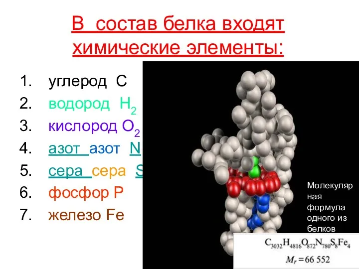 В состав белка входят химические элементы: углерод C водород H2