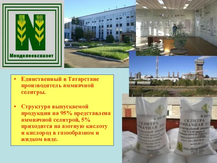 Единственный в Татарстане производитель аммиачной селитры. Структура выпускаемой продукции на 95% представлена аммиачной
