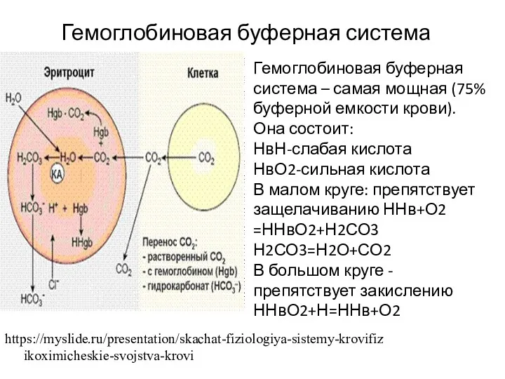 https://myslide.ru/presentation/skachat-fiziologiya-sistemy-krovifizikoximicheskie-svojstva-krovi Гемоглобиновая буферная система Гемоглобиновая буферная система – самая мощная (75% буферной емкости