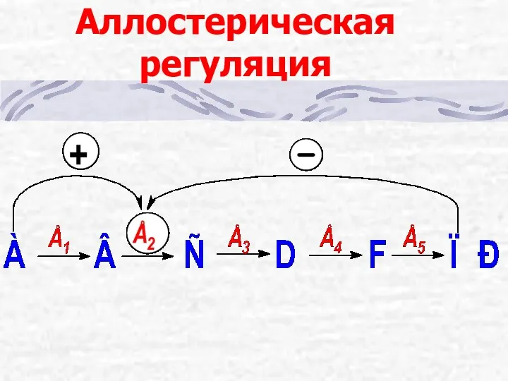 Аллостерическая регуляция