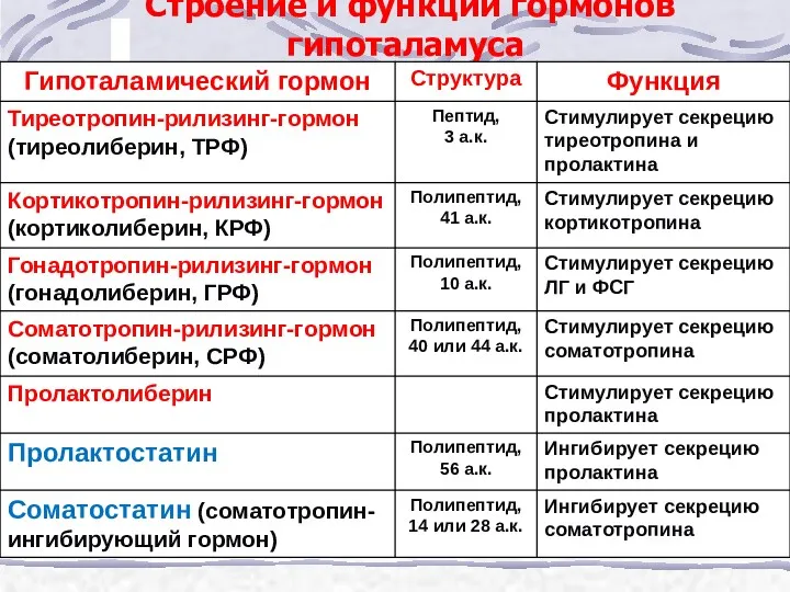 Строение и функции гормонов гипоталамуса