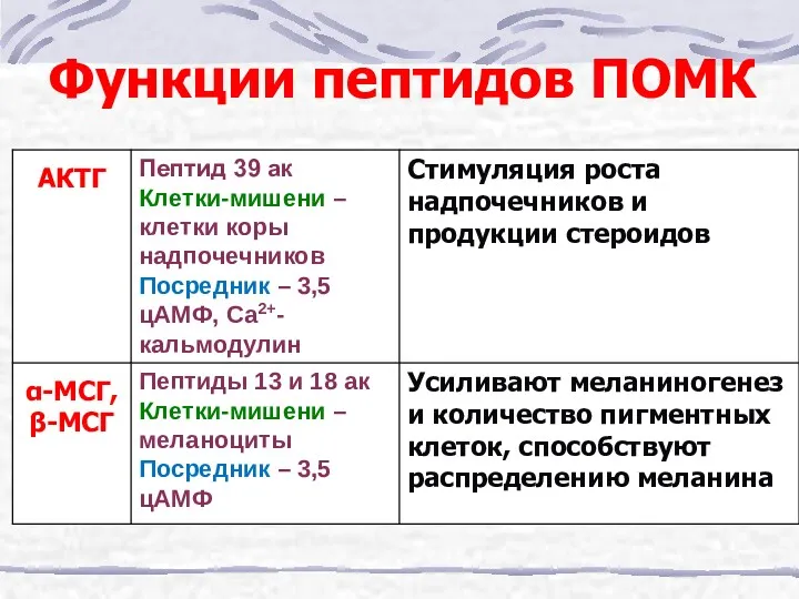 Функции пептидов ПОМК