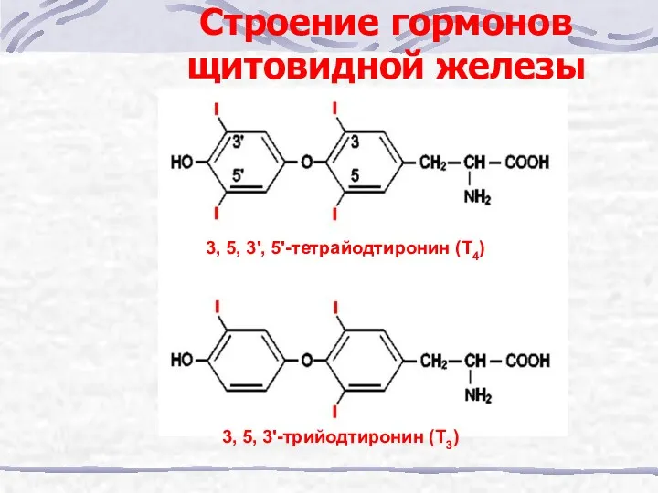 Строение гормонов щитовидной железы 3, 5, 3', 5'-тетрайодтиронин (Т4) 3, 5, 3'-трийодтиронин (Т3)