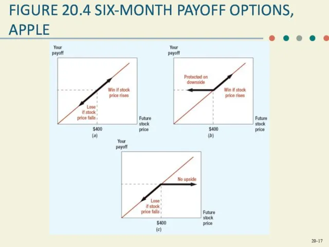 FIGURE 20.4 SIX-MONTH PAYOFF OPTIONS, APPLE