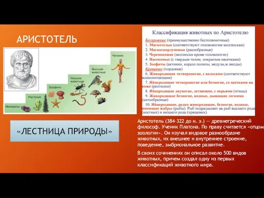 АРИСТОТЕЛЬ Аристотель (384–322 до н. э.) — древнегреческий философ. Ученик