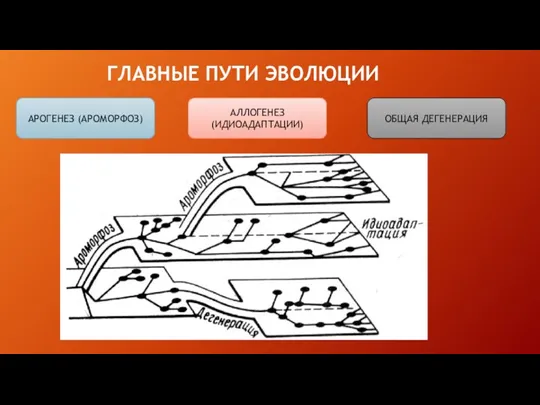 ГЛАВНЫЕ ПУТИ ЭВОЛЮЦИИ АРОГЕНЕЗ (АРОМОРФОЗ) АЛЛОГЕНЕЗ (ИДИОАДАПТАЦИИ) ОБЩАЯ ДЕГЕНЕРАЦИЯ