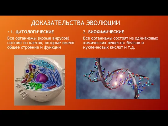 ДОКАЗАТЕЛЬСТВА ЭВОЛЮЦИИ 1. ЦИТОЛОГИЧЕСКИЕ Все организмы (кроме вирусов) состоят из