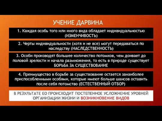 УЧЕНИЕ ДАРВИНА 1. Каждая особь того или иного вида обладает