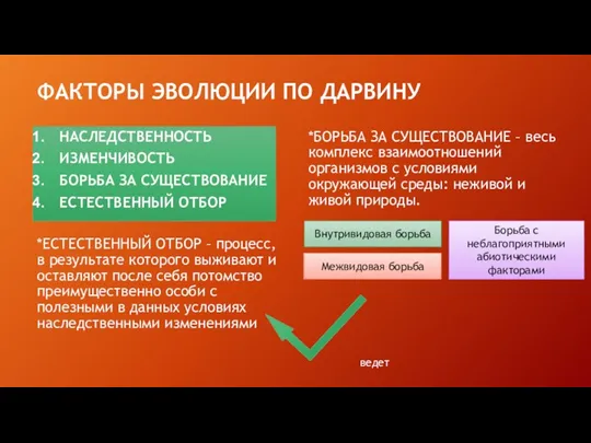 ФАКТОРЫ ЭВОЛЮЦИИ ПО ДАРВИНУ НАСЛЕДСТВЕННОСТЬ ИЗМЕНЧИВОСТЬ БОРЬБА ЗА СУЩЕСТВОВАНИЕ ЕСТЕСТВЕННЫЙ