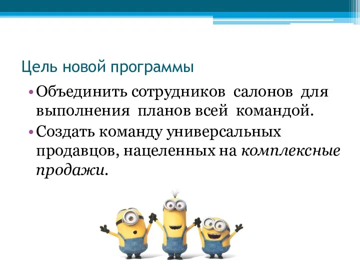 Цель новой программы Объединить сотрудников салонов для выполнения планов всей