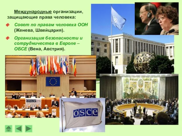 Международные организации, защищающие права человека: Совет по правам человека ООН (Женева, Швейцария). Организация
