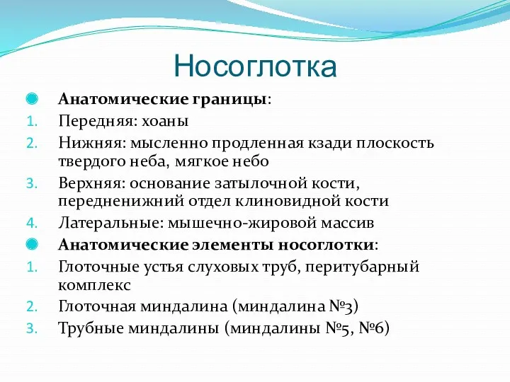 Носоглотка Анатомические границы: Передняя: хоаны Нижняя: мысленно продленная кзади плоскость