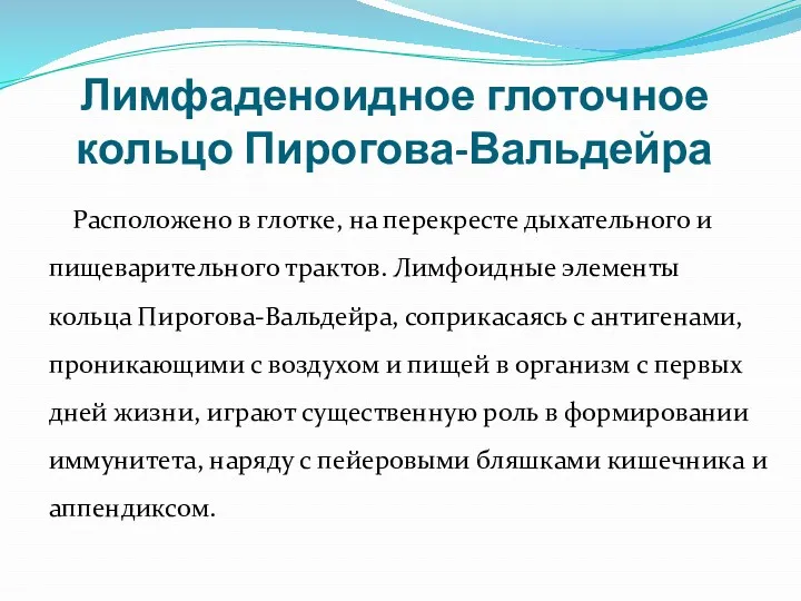 Лимфаденоидное глоточное кольцо Пирогова-Вальдейра Расположено в глотке, на перекресте дыхательного