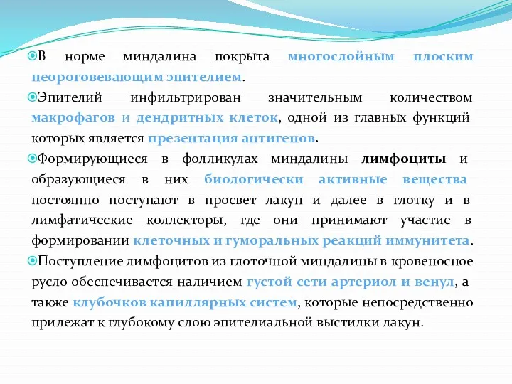 В норме миндалина покрыта многослойным плоским неороговевающим эпителием. Эпителий инфильтрирован