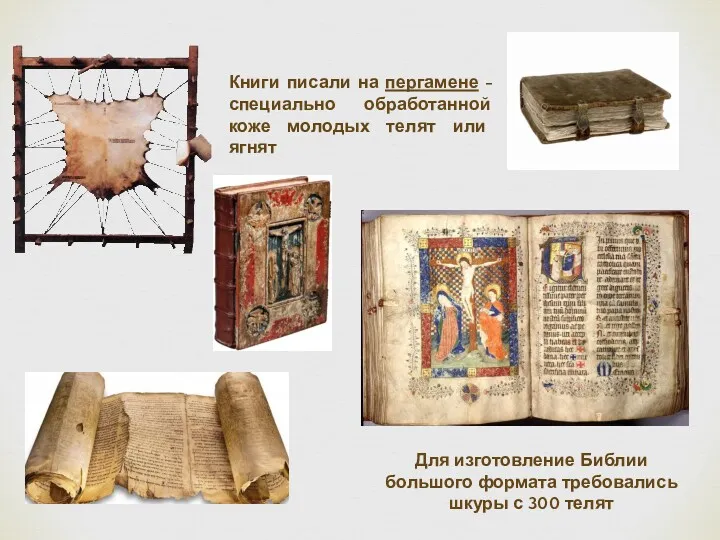 Книги писали на пергамене - специально обработанной коже молодых телят