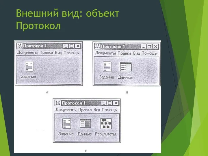 Внешний вид: объект Протокол