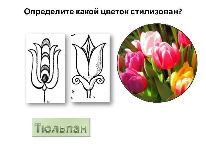 Определите какой цветок стилизован?