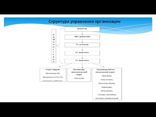 Структура управления организации