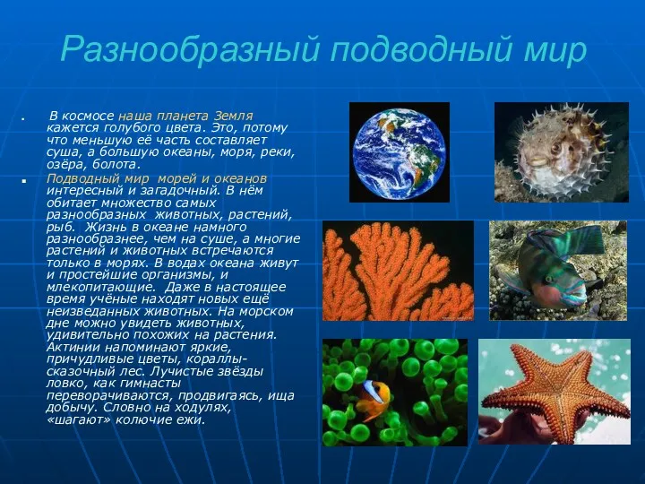 Разнообразный подводный мир В космосе наша планета Земля кажется голубого