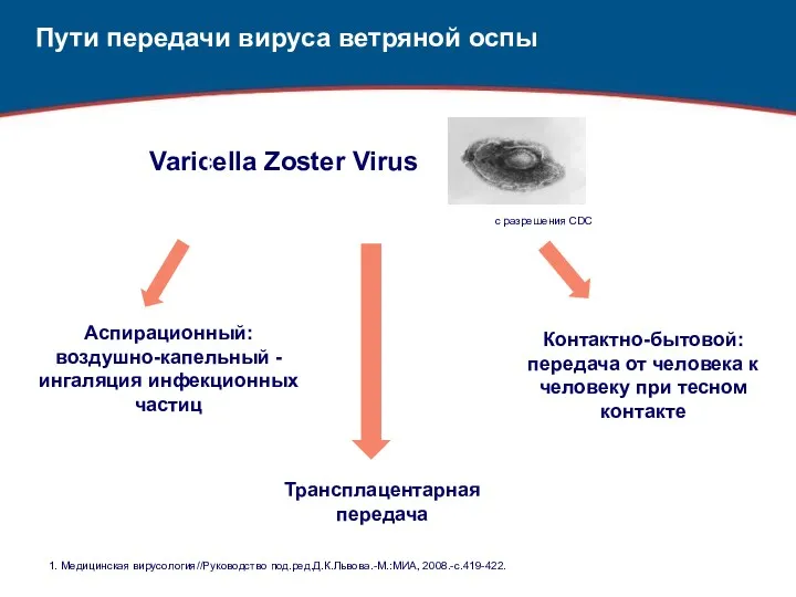 Пути передачи вируса ветряной оспы Varicella Zoster Virus Аспирационный: воздушно-капельный - ингаляция инфекционных