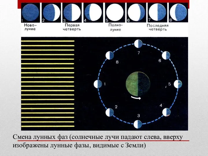 Смена лунных фаз (солнечные лучи падают слева, вверху изображены лунные фазы, видимые с Земли)