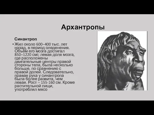 Архантропы Синантроп Жил около 600–400 тыс. лет назад, в период