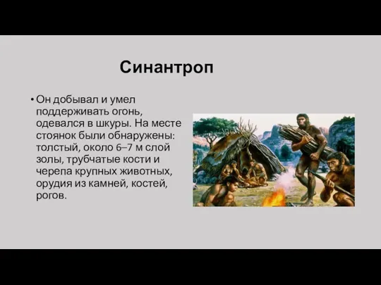 Синантроп Он добывал и умел поддерживать огонь, одевался в шкуры.