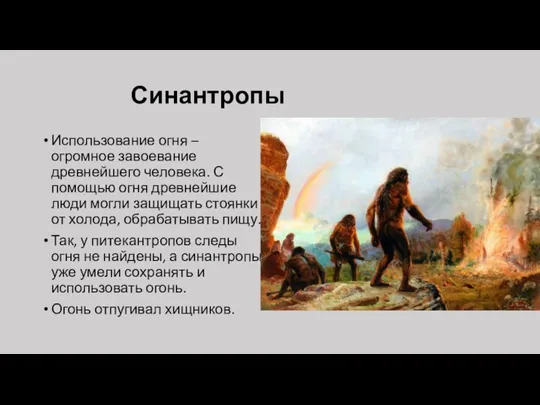 Синантропы Использование огня – огромное завоевание древнейшего человека. С помощью