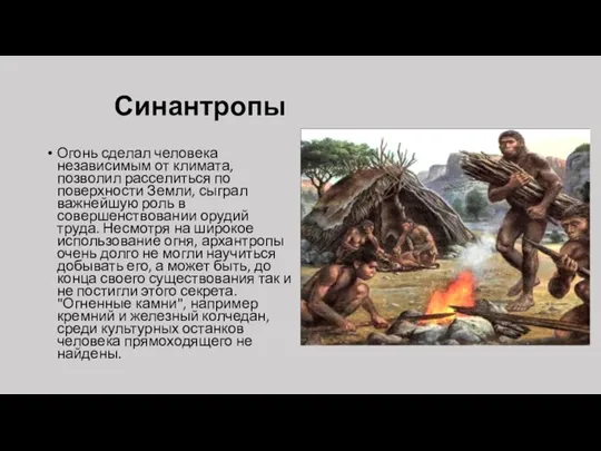 Синантропы Огонь сделал человека независимым от климата, позволил расселиться по