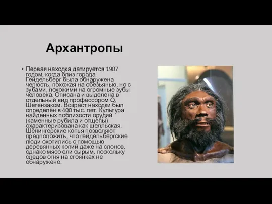 Архантропы Первая находка датируется 1907 годом, когда близ города Гейдельберг