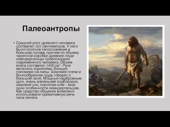 Палеоантропы Средний рост древнего человека составлял 165 сантиметров. У него