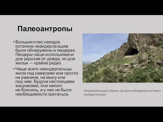 Палеоантропы Большинство находок останков неандертальцев были обнаружены в пещерах. Пещеры